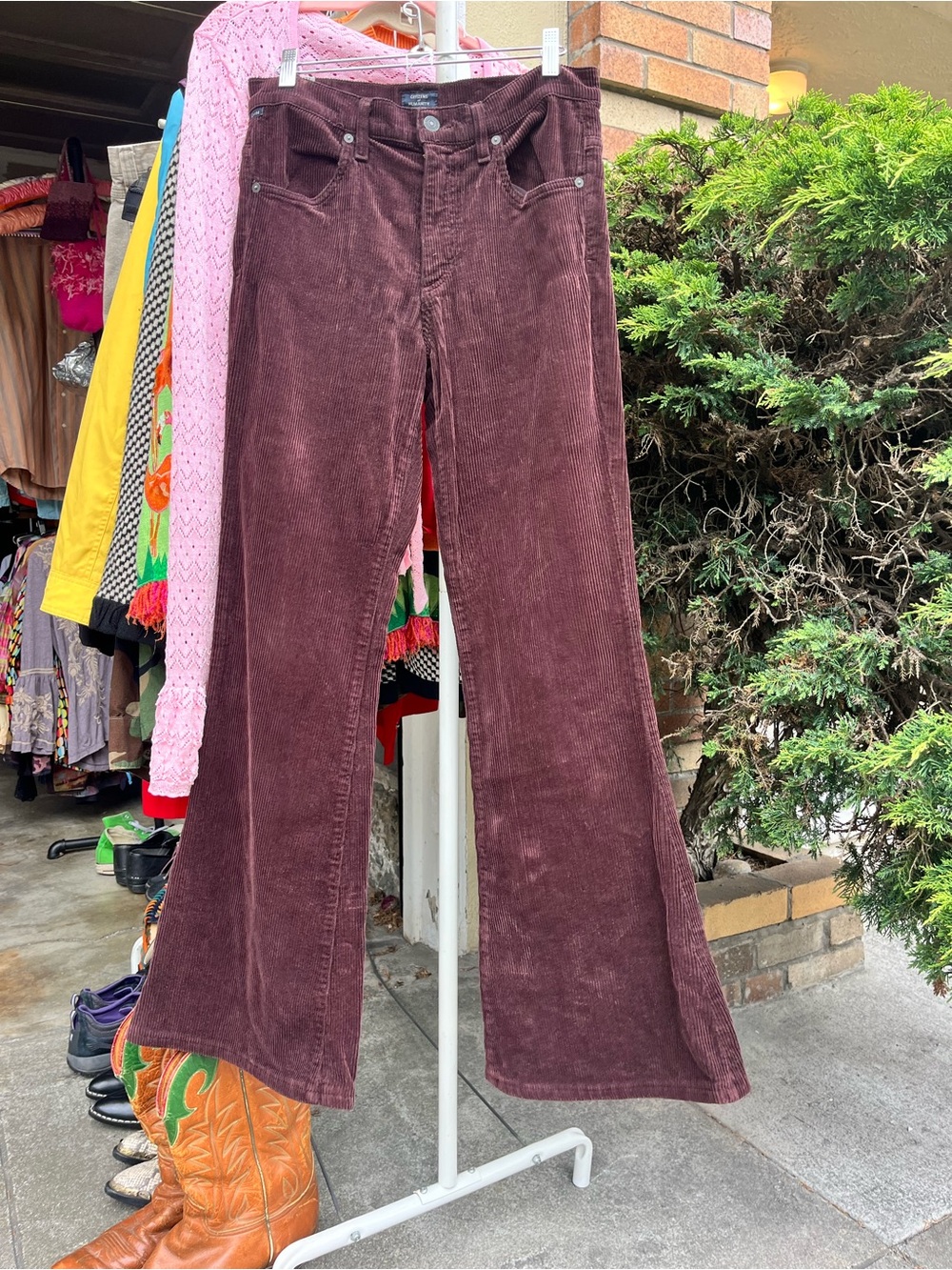 Corduroy Flared Jeans in Deep Burgundy/Brown - Women